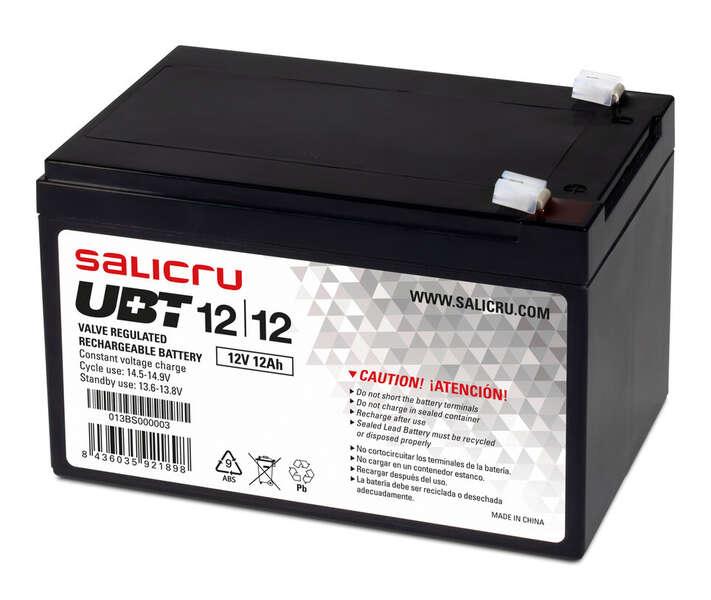 Salicru 013BS000003...