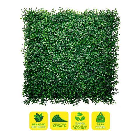 Sungarden Jardin Vertical 50x50cm Serie Floraria - Giardino verticale artificiale