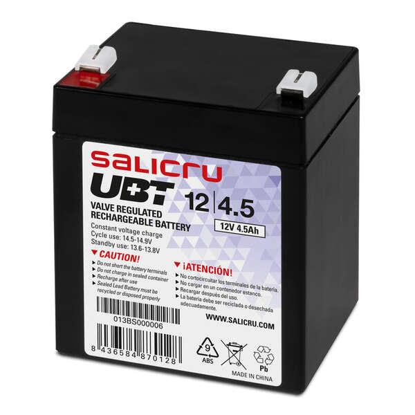 Salicru 013BS000006...