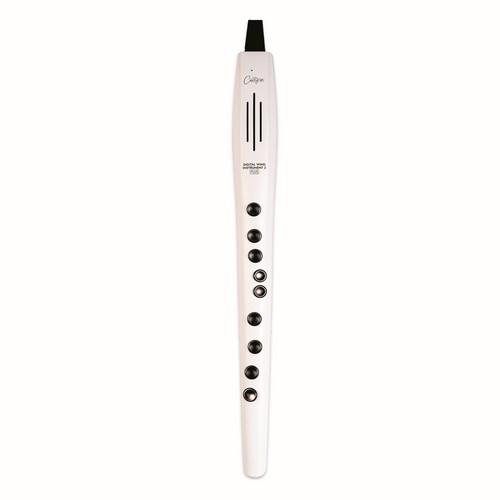 CO-DWI2PLUS-WT - DIGITAL...