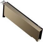 NVIDIA A2 - Processore GPU computing - NVIDIA A2 Tensor Core - 16 GB GDDR6 - PCIe 4.0 x8 profilo basso - senza ventola