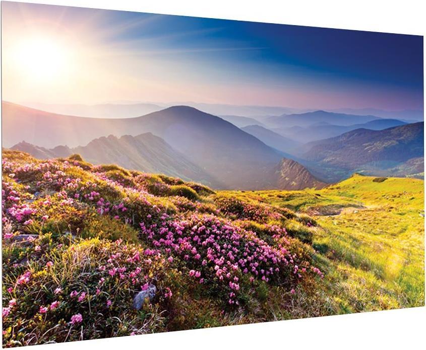 Legrand Fullvision 158 x 280 cm Matt White (10600670)