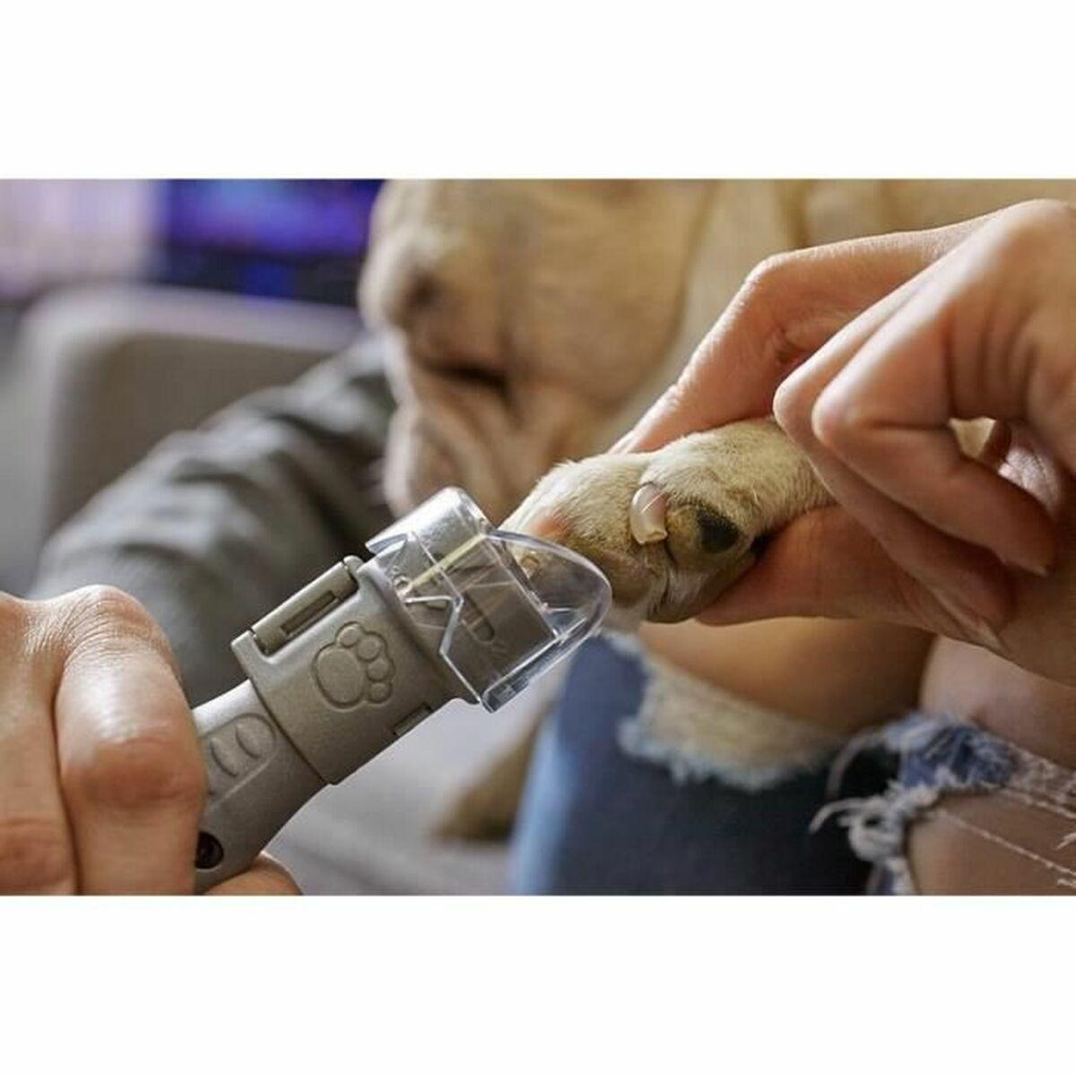 Dischi abrasivi Dremel PG10 Lima per unghie Cane (10 UnitÃƒÂ )