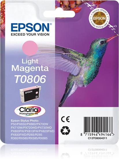 T08064021...