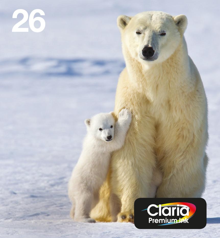 Epson Polar bear Multipack...