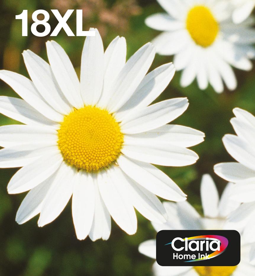 Epson Daisy Multipack...