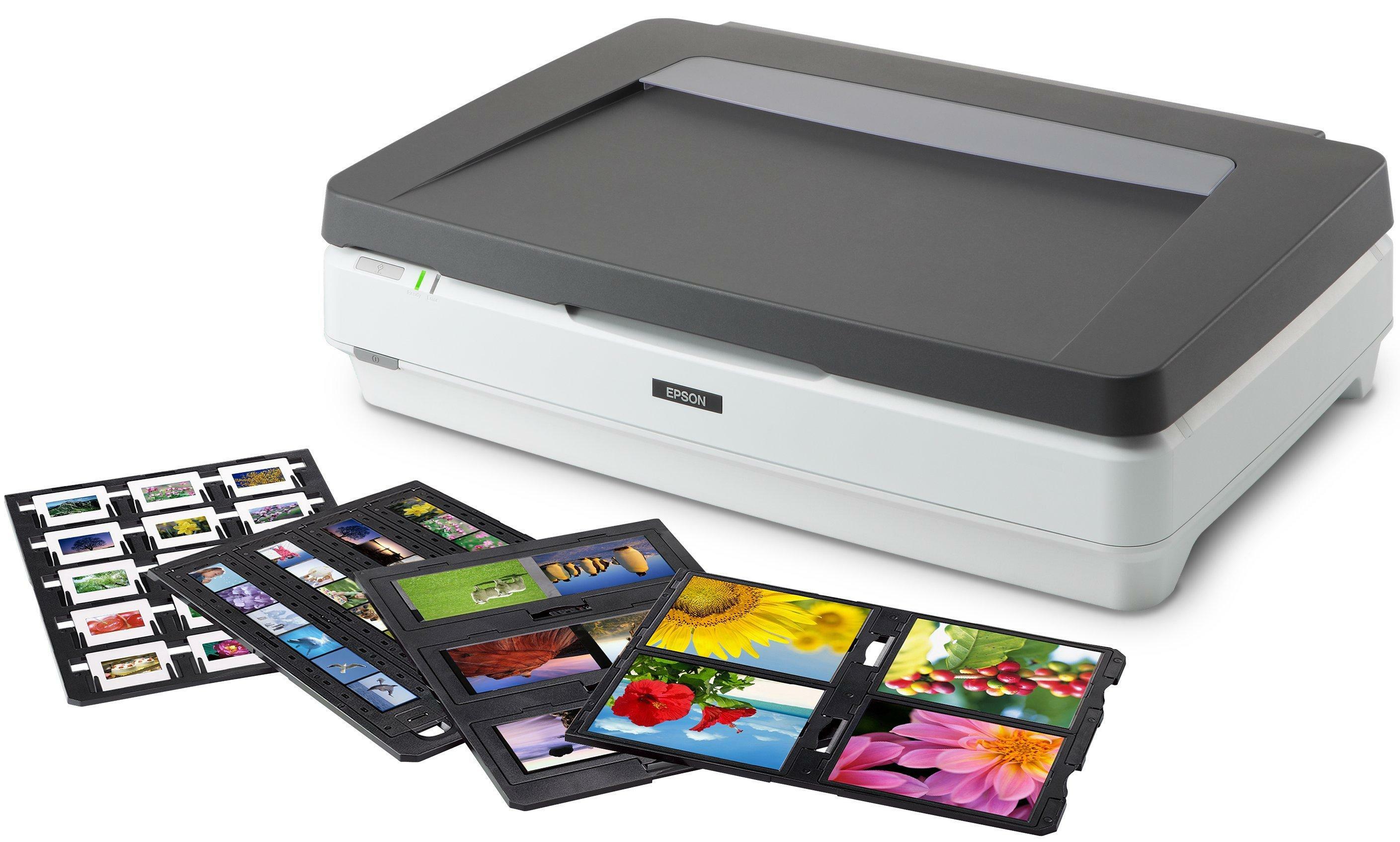 Epson Expression 13000XL Pro Scanner per biglietti da visita 2400 x 4800 DPI A3 Grigio Bianco