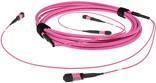 Cavo trunk in fibra ACT...