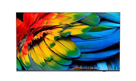 Philips 58HFL6214U/12 TV 1473 cm (58") 4K Ultra HD Wi-Fi Antracite 400 cd/m