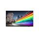 TV 43DS BUSINESS TV 4K CHROMECAST PHILIPS 43BFL2214