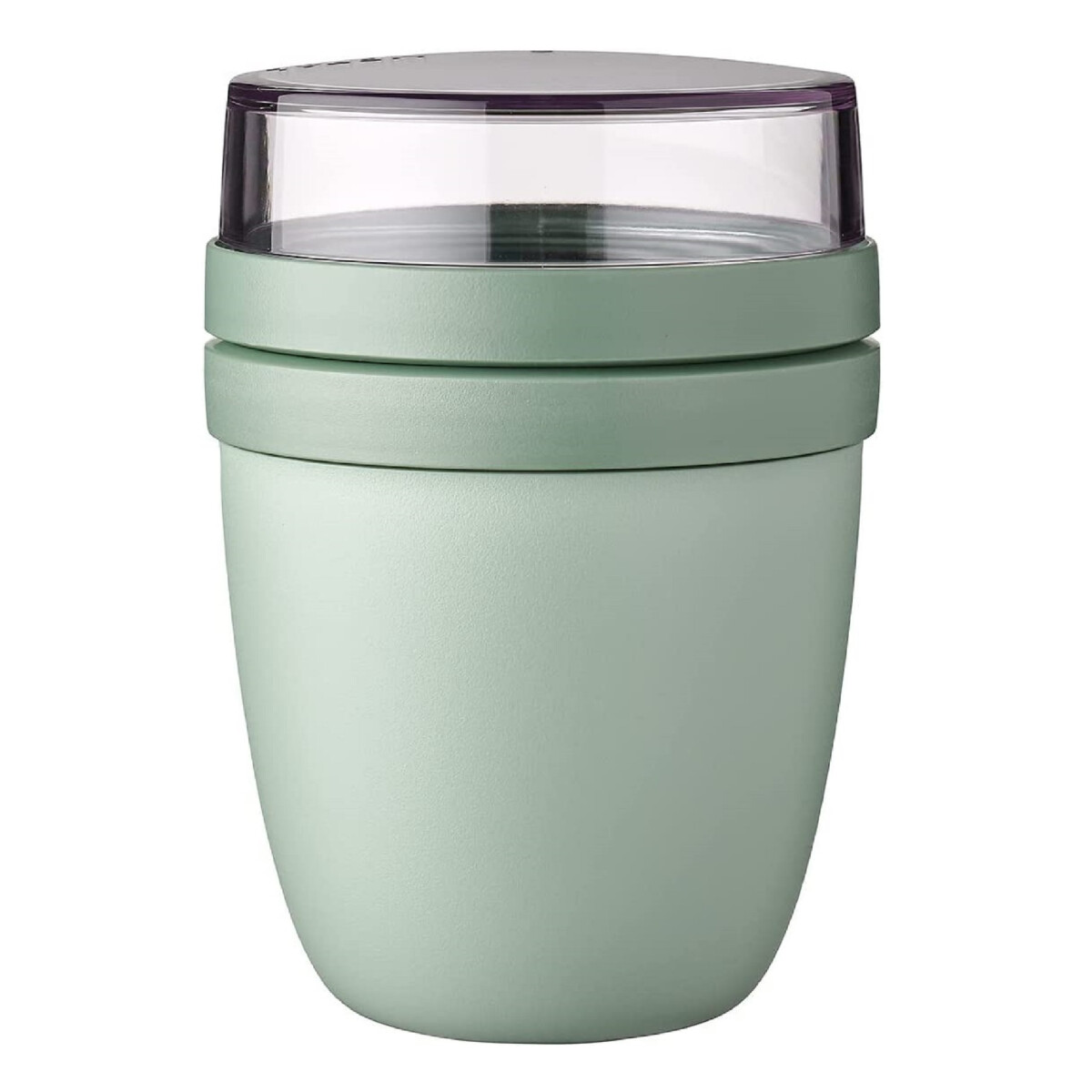 Ellisse del vaso di mepal - salvia nordica