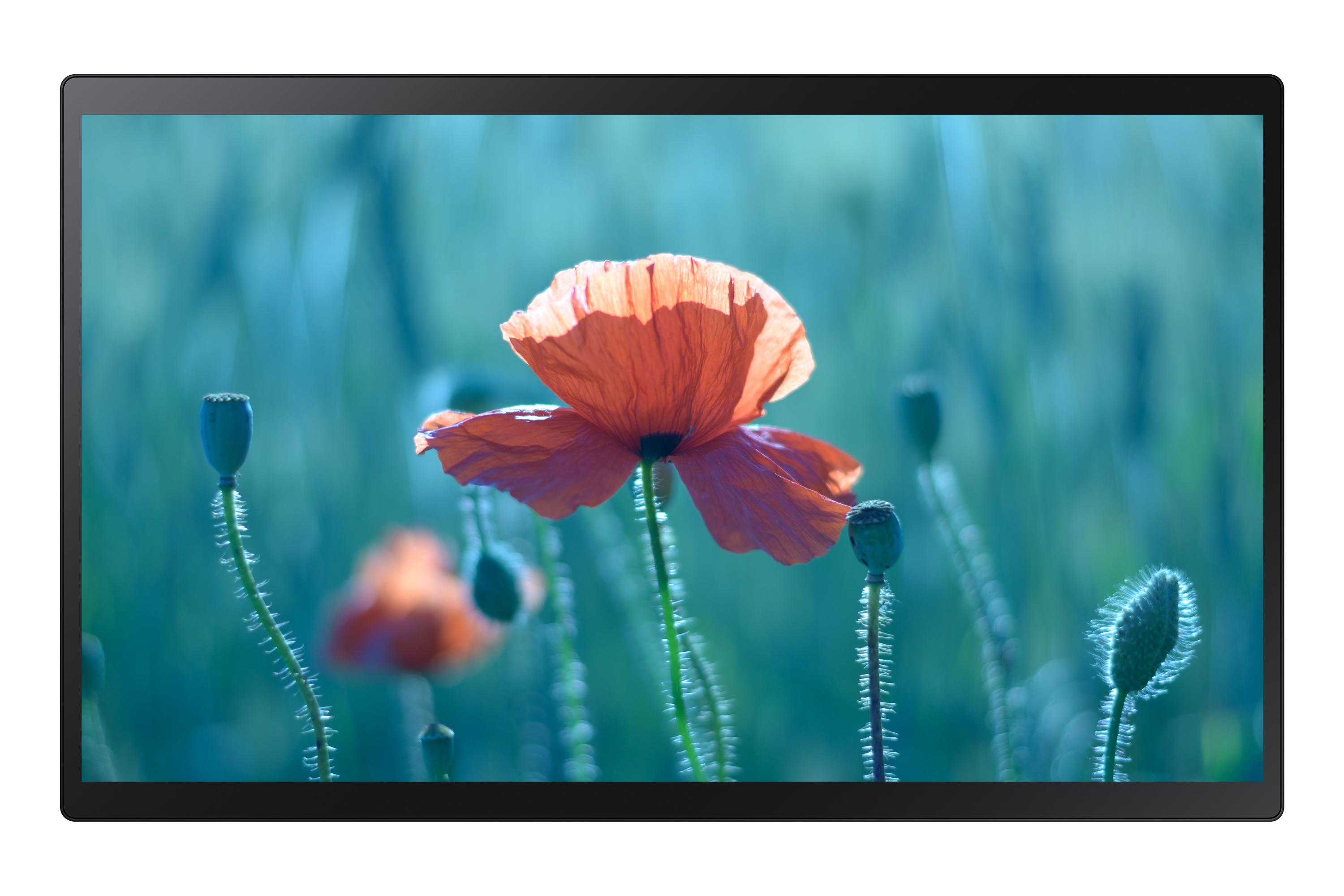Samsung QB24R-TB Pannello piatto interattivo 605 cm (23.8") LCD Wi-Fi 250 cd/m Full HD Nero Touch screen Tizen 4.0 16/7
