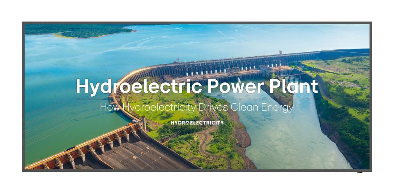 LG 105BM5P-B visualizzatore...