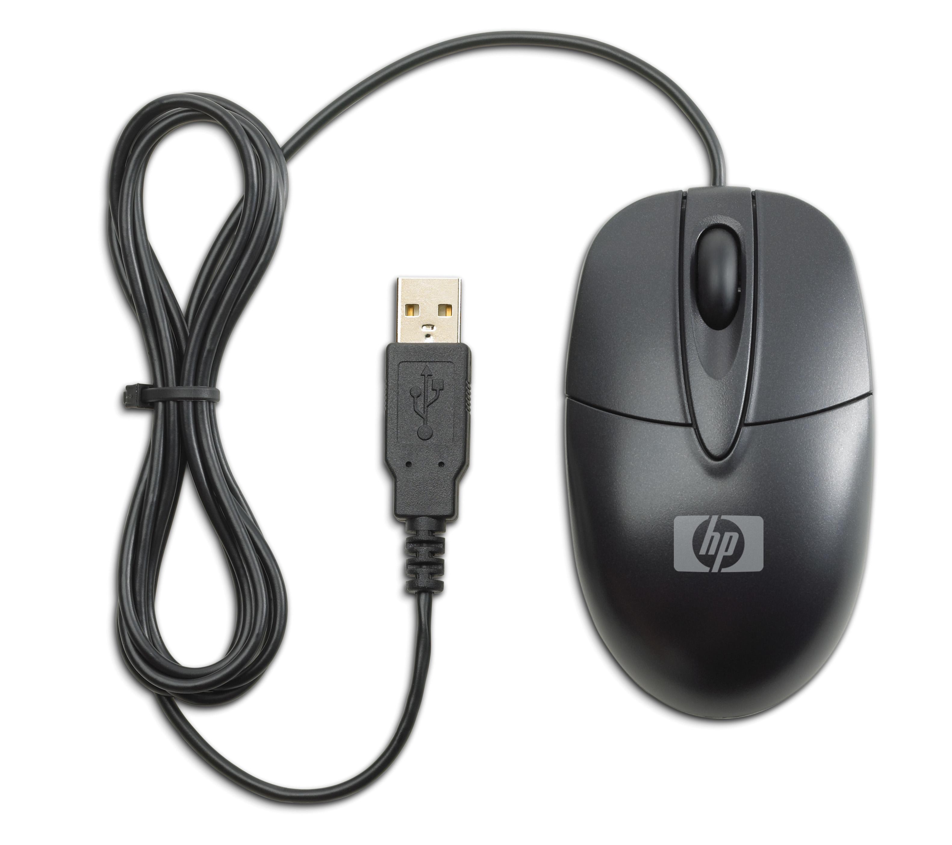 HP RH304AA mouse Ufficio Ambidestro USB tipo A Ottico