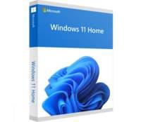 Windows 11 Home 64Bit Eng Intl 1pk DSP OEI DVD