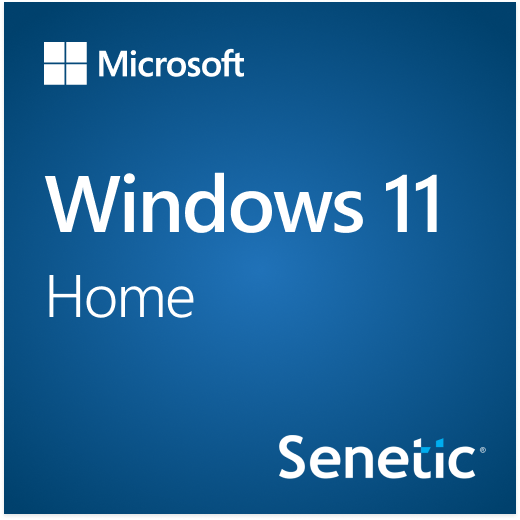 Windows 11 Home 64 bit polacco 1 confezione DSP OEI DVD