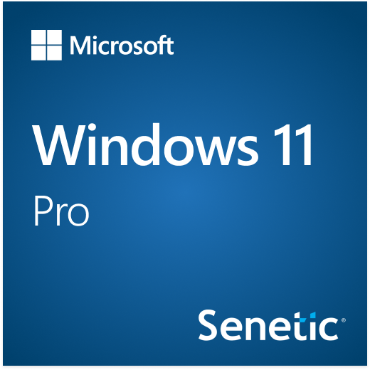 DVD DSP OEI polacco 1pk per Windows 11 Pro 64 bit