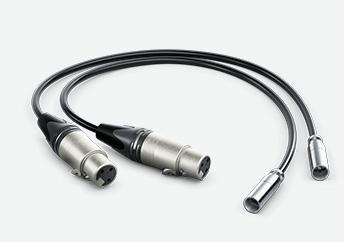 Cavo audio 0,495 M Mini Xlr