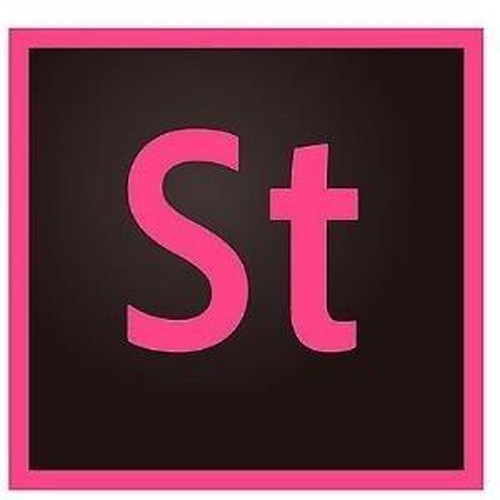 ADOBE VIP Stock Large MLP 1M (EN) CC Required Licensing Subscription Level 2