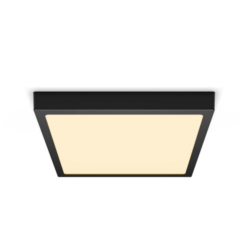 Downlight Funzionale Philips