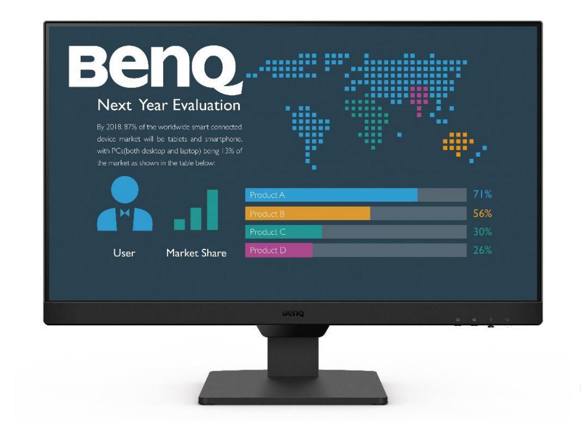 Bl2490 Monitor per computer 60.5