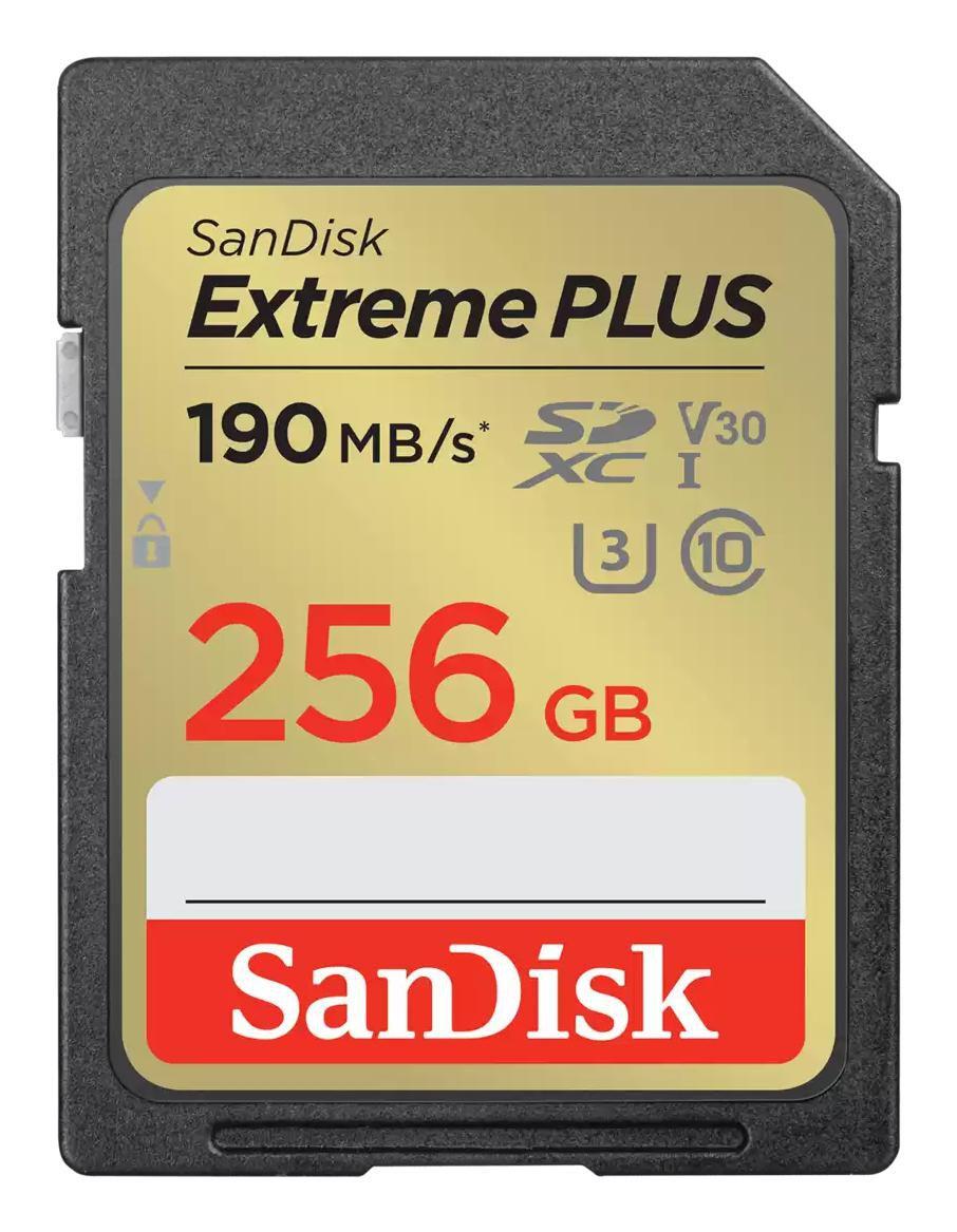 SDXC ESTREMA PIÃƒâ„¢ DA 256 GB
