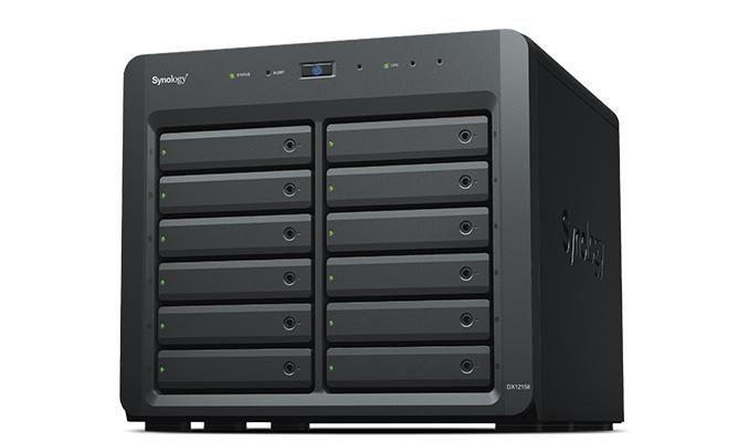 Unità di espansione DX1215II 12-Bay