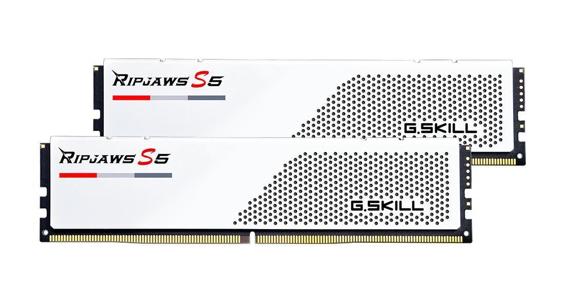 Modulo di memoria X2-Rs5W 32 Gb 2